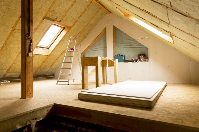 Attic Inspection Experts
